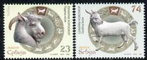 [Chinese New Year - Year of the Ram, Tipo QS]