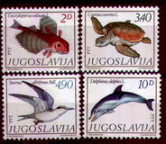 [Mediterranean Marine Life, тип BTM]