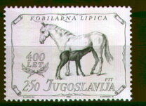 [The 400th Anniversary of the Stud Farm Lipica, Tip BTW]