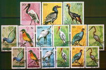 [Birds, 유형 CW]