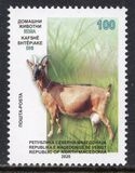 [Domestic Animals - Goat, type CEY]