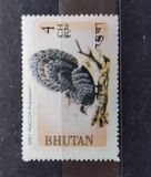 [Pájaros., tipo IH]