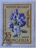 [Flowers, tegund EN]