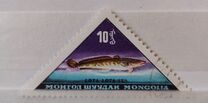 [Fish, type JL]