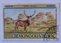 [Games Reserves - Fauna, 类型 AFA]