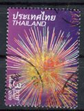 [New Year 2011, type ECD]