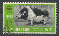 [Chinese New Year - Year of the Pig, 类型 CC]