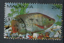 [Freshwater Fish, Typ HA]