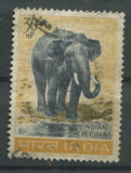 [Wildlife Conservation, نوع FZ]