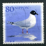 [Flora & Fauna - Rare Wildlife in Japan, Tipi IPL]