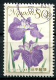 [Flowers, tip HWG]