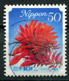 [Flowers, type HTI]
