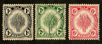 [Sheaf of Rice - New Colors, type A14]