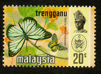 [Butterflies, type AO]