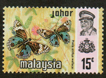 [Butterflies, type AZ]