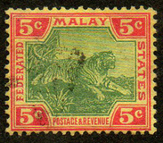 [Tiger, type C3]