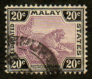 [Tiger, type C6]