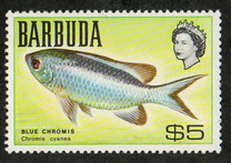 [Fish, 类型 I]