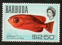 [Fish, 类型 H]