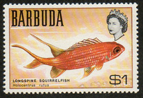 [Fish, 类型 G]