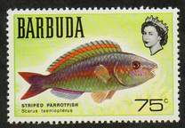 [Fish, 类型 F]
