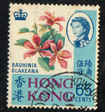 [Local Motives, type BN]