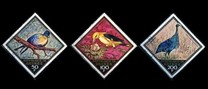 [Airmail - Wild Birds, Вид LP]