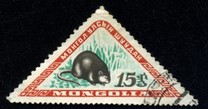 [Mongolian Wildlife, tip EB]