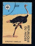 [Nature Protection - Endangered Animals, type VR]