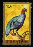[Birds, տեսակ DA1]