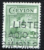 [Local Motifs, type CE]