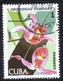 [Orchids, tip DAS]