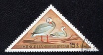 [Aquatic Birds, typ ABS]