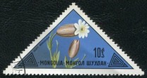 [Mongolian Flowers, වර්ගය ACP]