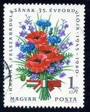 [The 35th Anniversary of the Liberation, Tip DUW]