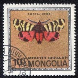 [Butterflies, Tüüp ACX]