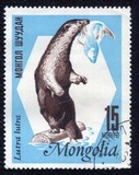 [Mongolian Fur Industry, 유형 NE]