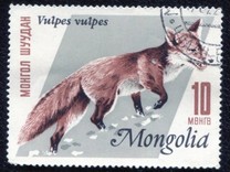 [Mongolian Fur Industry, 유형 ND]