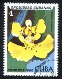 [Orchids, tip DAT]