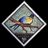 [Airmail - Wild Birds, Tüüp LP]