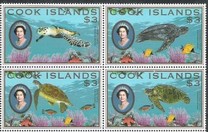 [Fauna - Turtles, סוג AHC]