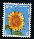 [Ramadan Festival, տեսակ GN]