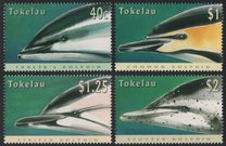 [Dolphins, type IA]