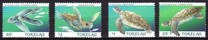 [Sea Turtles, प्रकार HP]