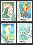 [Seahorses, प्रकार KR]