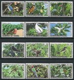 [Birds of Tonga - White Frame, Typ BOP]