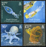 [Cephalopods, type LE]