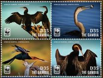 [WWF - Birds, African Darter, тип ITN]
