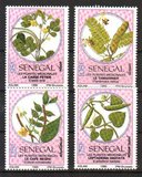 [Medicinal Plants, тып AIK]