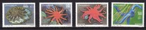 [Starfish, Scrivi AHM]